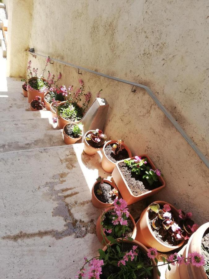 La Terrasse Villa Жиняк Екстериор снимка