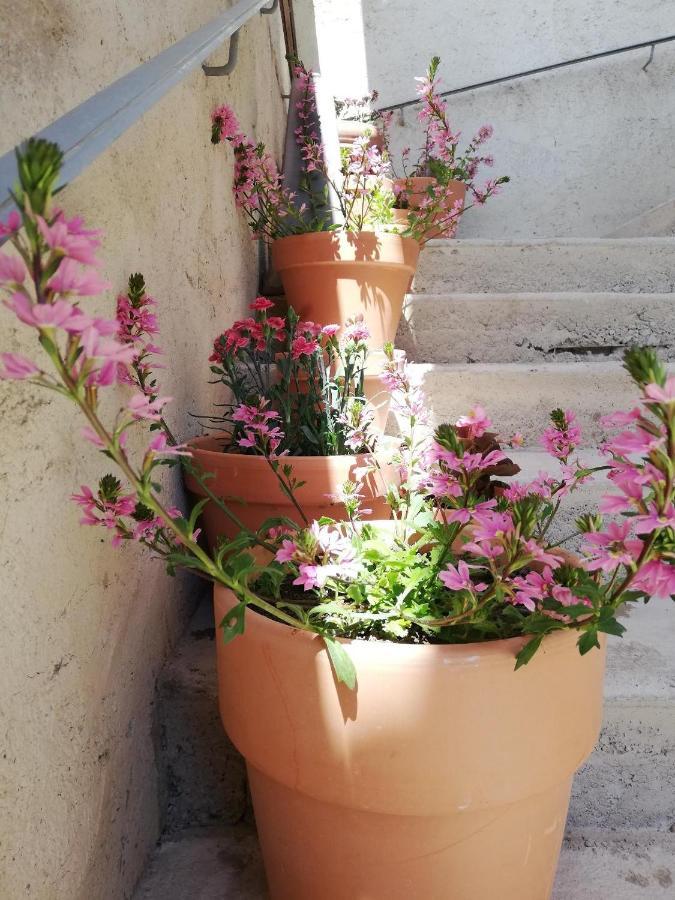 La Terrasse Villa Жиняк Екстериор снимка